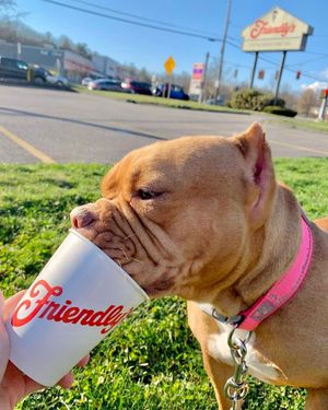 Image post by @friendlys on Instagram