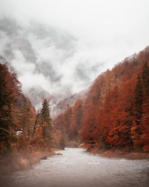 Image post by @prjct.alex on Instagram