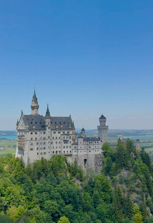Video post by @korsen_land on TikTok