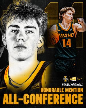 Image post by @vandalhoops on Instagram