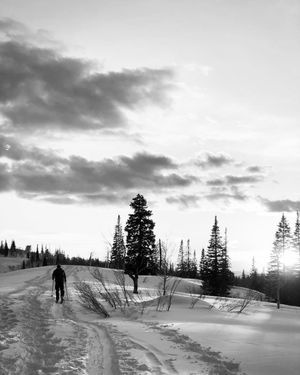 Image post by @chrislholder on Instagram