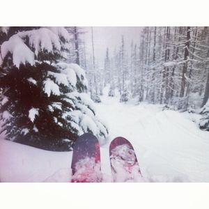 Image post by @whistlerblackcomb on Instagram