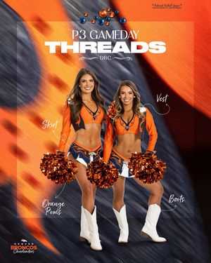 Image post by @denverbroncoscheer on Instagram