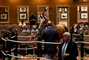 Image post by @coolmoreamerica on Instagram