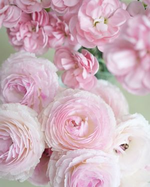 Image post by @kaho_flowerdesigner on Instagram