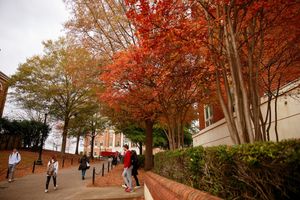 Image post by @ua_admissions on Instagram