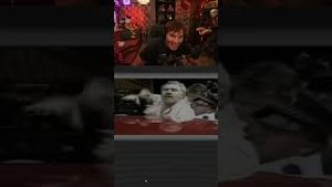 Video post by @willneff on YouTube