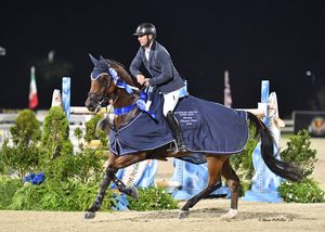 Image post by @kyhorseshows on Instagram