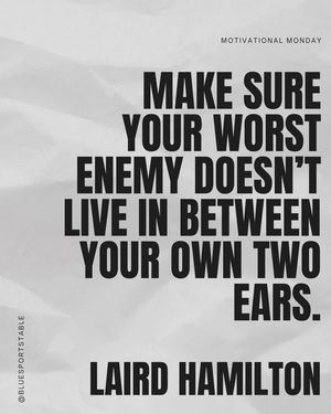 Image post by @bluesportstable on Instagram