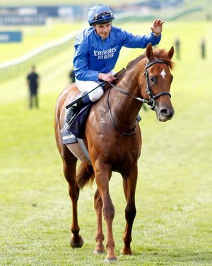 Image post by @godolphin on Instagram