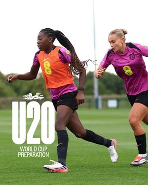 Image post by @lionesses on Instagram