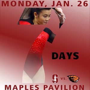 Image post by @stanfordgymnastics on Instagram