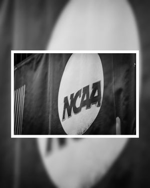 Image post by @kodiak_creative on Instagram