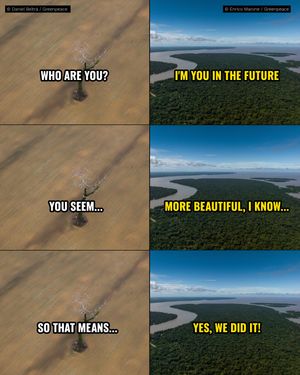 Image post by @greenpeace on Instagram