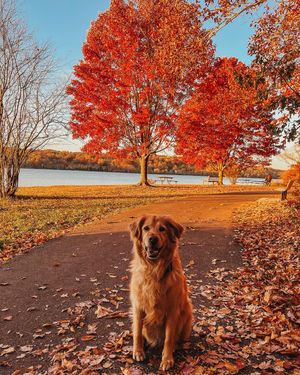 Image post by @visitbuckspa on Instagram