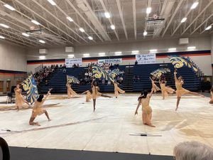 Image post by @wgisportofthearts on Instagram