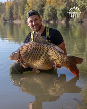 Image post by @brothercarp on Instagram