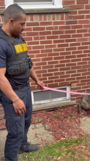 Video post by @DetroitGSD on Facebook