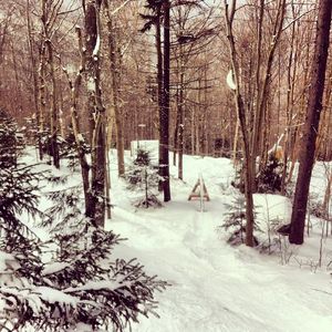 Image post by @uvm_ssc on Instagram