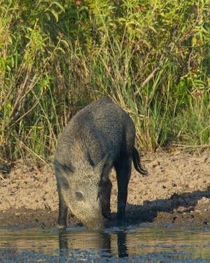 Image post by @txextension on Instagram