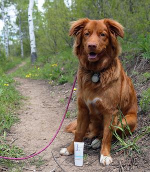 Image post by @beavercreek on Instagram