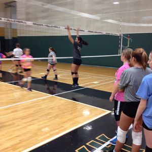 Image post by @wsuvball on Instagram