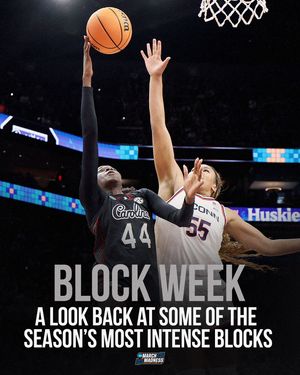 Image post by @marchmadnesswbb on Instagram