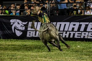 Image post by @ultimatebullfighters on Instagram