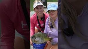 Video post by @barstooloutdoors on YouTube