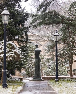 Image post by @hofstrau on Instagram
