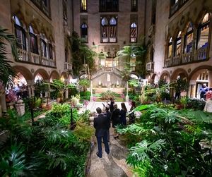 Image post by @smlions on Instagram