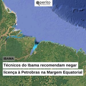 Image post by @operitoambiental on Instagram