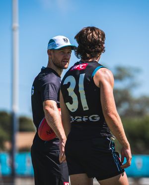 Image post by @pafc on Instagram