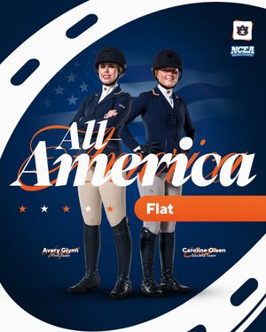 Image post by @auburnequestrian on Instagram