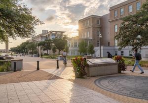 Image post by @tamu on Instagram