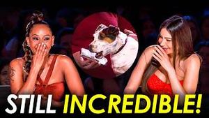 Video post by @top10talent on YouTube