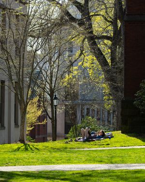 Image post by @brownu on Instagram