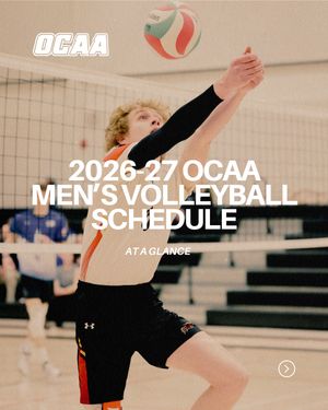 Image post by @theocaa on Instagram