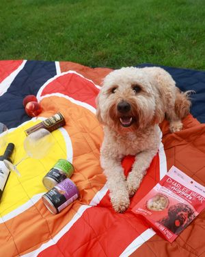 Image post by @charlee_bear_dogtreats on Instagram