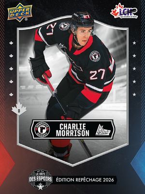 Image post by @quebec_remparts on Instagram