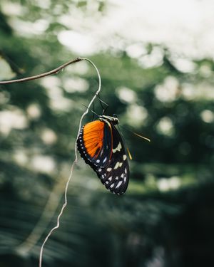 Image post by @connoriphotography on Instagram