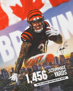 Image post by @bengals on Instagram