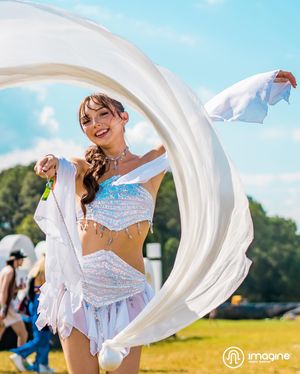 Image post by @imaginemusicfestival on Instagram