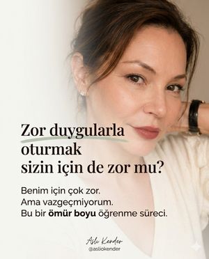 Image post by @asliokender on Instagram