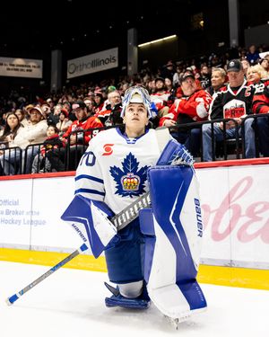 Image post by @torontomarlies on Instagram