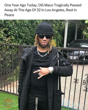 Image post by @nojumper on Instagram