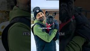 Video post by @lowes on YouTube