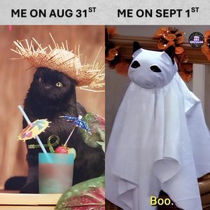 Image post by @90s.era.nostalgia on Instagram