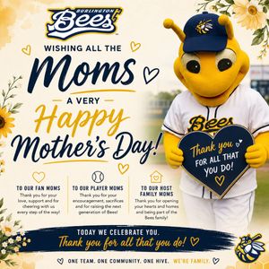 Image post by @burlington_bees on Instagram