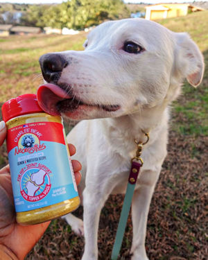 Image post by @charlee_bear_dogtreats on Instagram